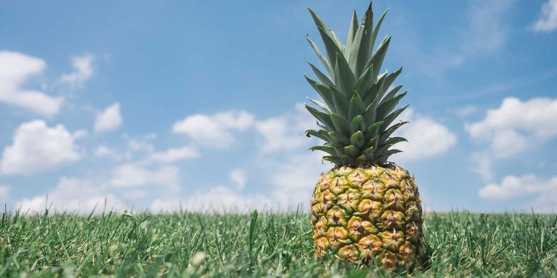 专业赋能商业价值：解析北京京门物业的租户服务与公共空间管理之道