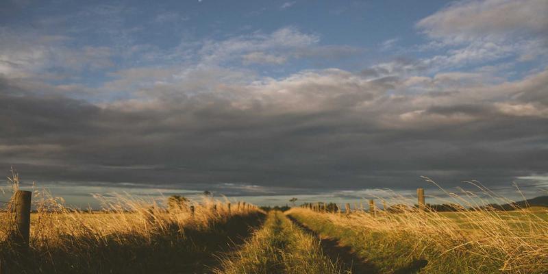 北京京门物业12：以专业清洁服务，定义现代物业管理新标杆