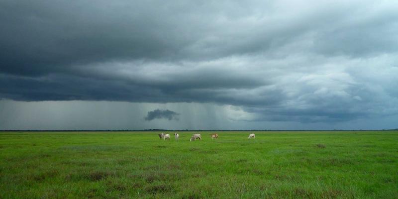 北京京门物业18：以精细化物业管理、专业化保洁服务与前瞻性物业维护，构筑卓越人居体验