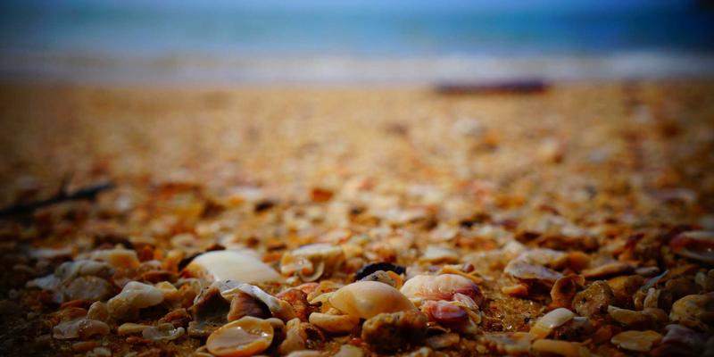 北京京门物业34：以精细化设施管理与专业物业维护，构筑卓越物业管理新标杆