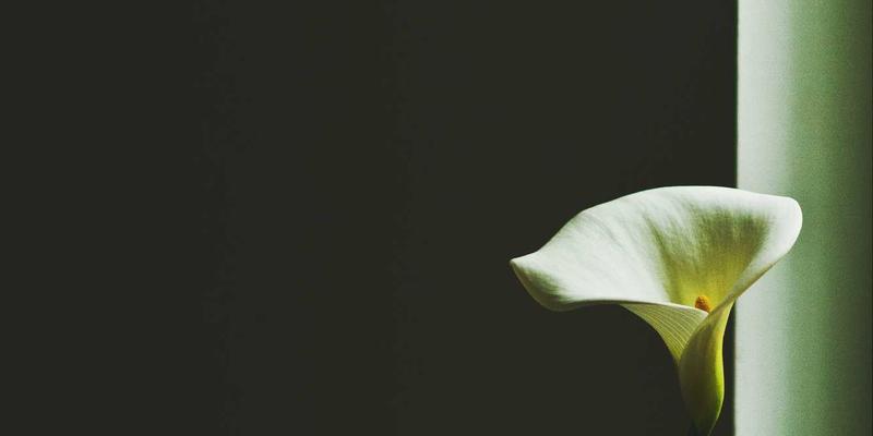 北京京门物业38：专业物业维护与设施管理，构筑卓越人居与商业环境