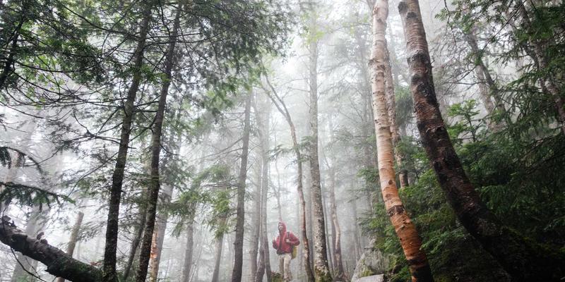 北京京门物业65：以专业设施管理与精细化服务，重塑现代物业管理新标杆