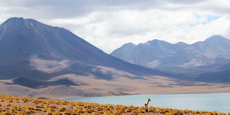 北京京门物业6：专业保洁服务与精细化物业维护，打造卓越清洁服务体验