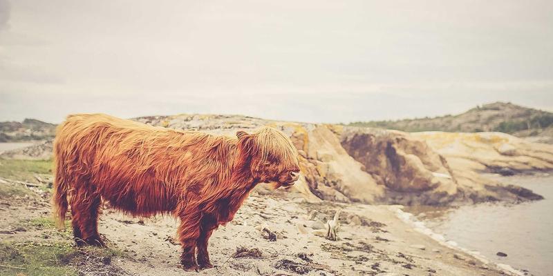 北京京门物业91：专业清洁服务如何提升现代社区品质