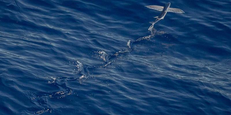 北京京门物业93：专业保洁服务、全方位清洁与设施管理的一站式解决方案