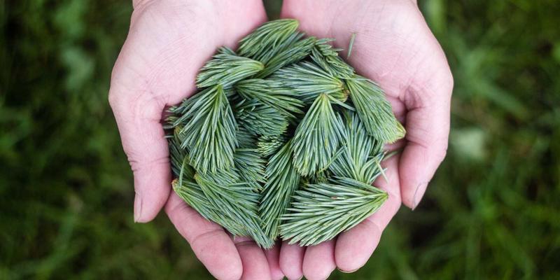 北京京门物业：专业清洁服务与精细化物业管理，打造卓越人居环境