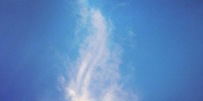 北京京门物业：专业环境绿化与卫生保洁的日常维护标准解析