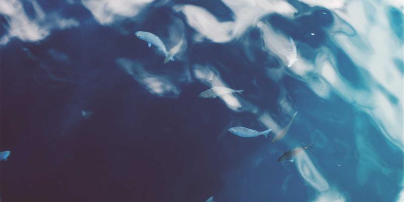 北京京门物业：以专业清洁服务驱动老旧小区综合改造的成功实践