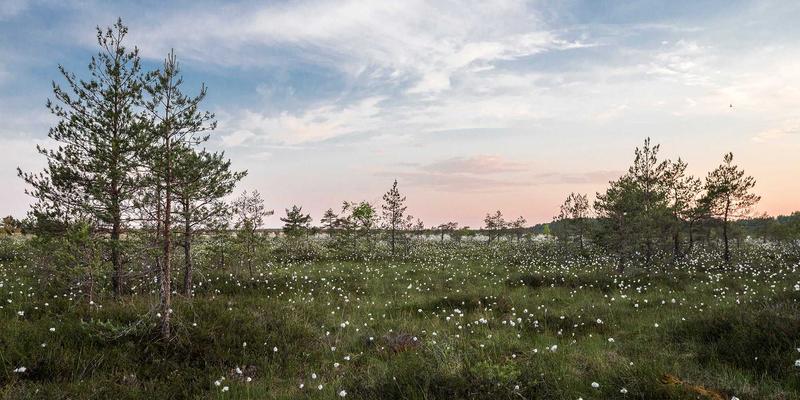 北京京门物业：以专业物业管理与保洁服务，构建空巢老人关怀体系