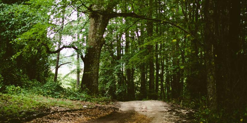 北京京门物业：以专业物业维护与清洁服务为核心，打造老旧小区适老化改造新标杆