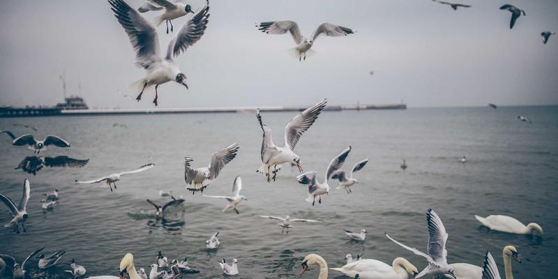 北京京门物业：以差异化设施管理与专业维护，重塑商业写字楼服务新标杆