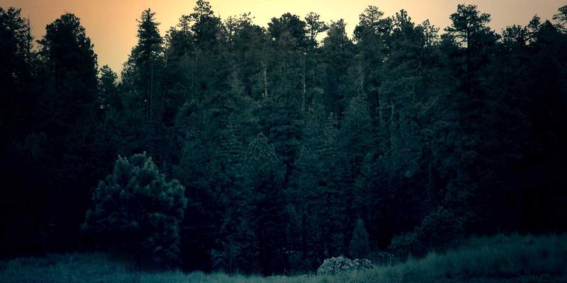 北京京门物业：以能源管理系统驱动商业项目降本增效，赋能物业维护与保洁服务