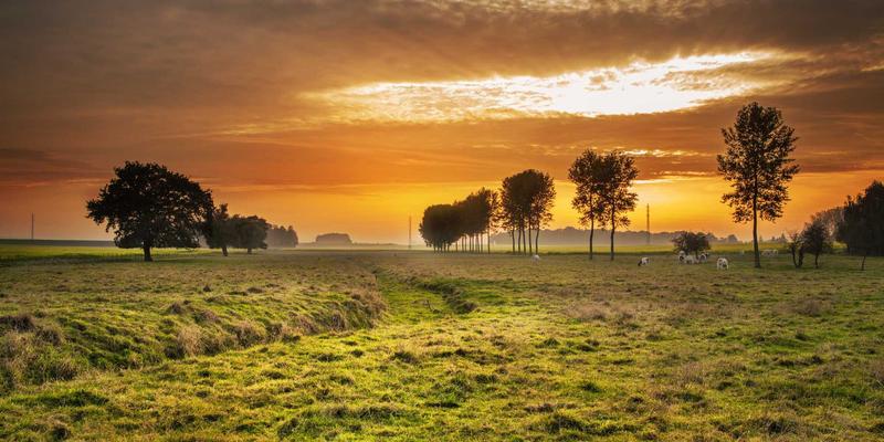 北京京门物业使用全攻略：高效运用物业维护、设施管理与保洁服务