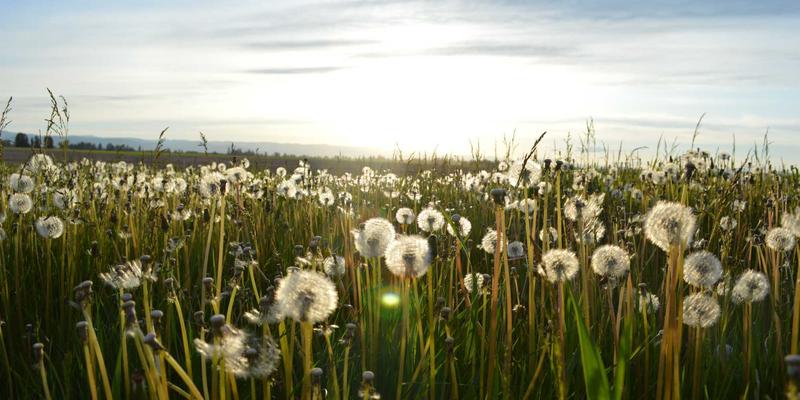 北京京门物业公共收益透明化管理：广告位与场地租赁收入公示与使用的深度解析