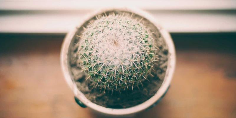 北京京门物业外包服务商（保洁、绿化）遴选标准与监督考核机制全解析