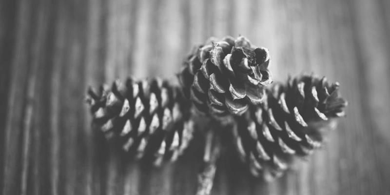 北京京门物业如何利用物联网技术实现消防设施的智能监控与预警