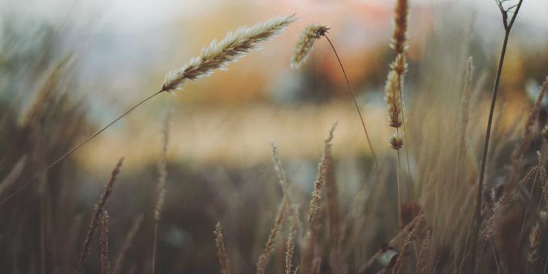 北京京门物业如何利用物联网技术革新社区设施智能巡检