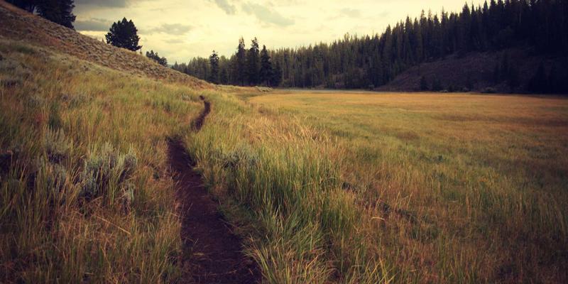 北京京门物业：如何通过邻里节与兴趣社团策划，打造高凝聚力社区