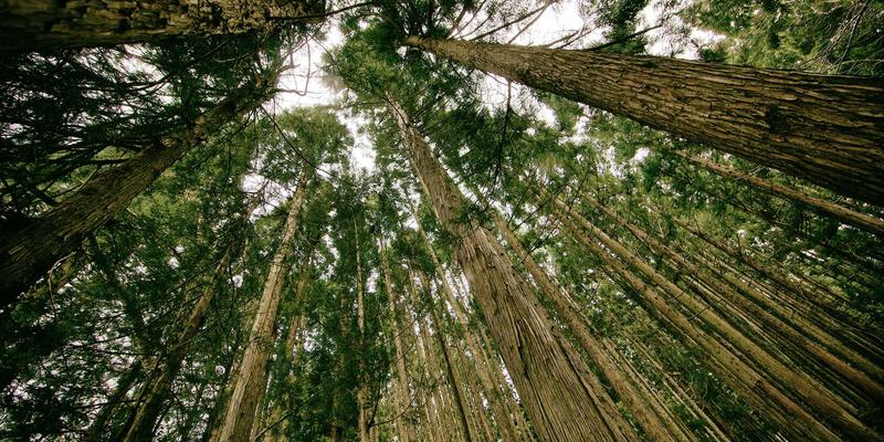 智慧停车新纪元：北京京门物业如何通过科技优化社区车位与通行效率